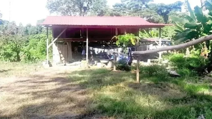 Padre e hijo mueren  asesinados en Shinahota